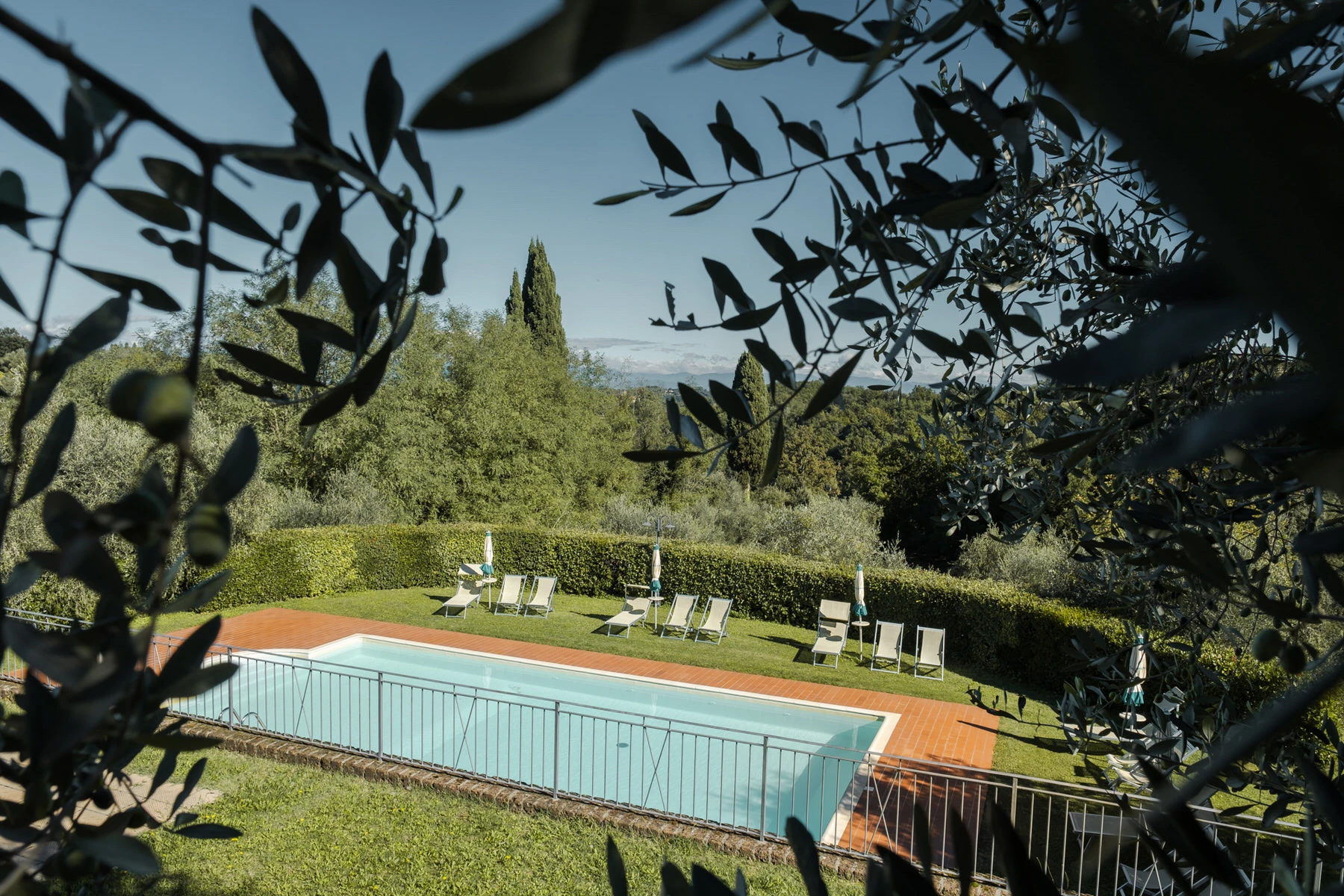 Piscina di un agriturismo vista tra gli ulivi