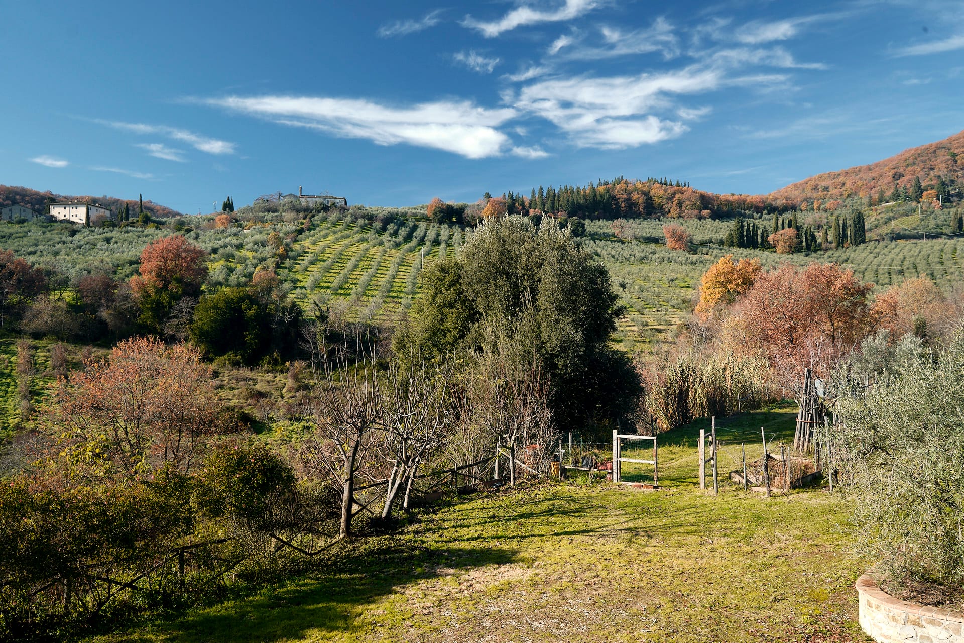 Fotografia immobiliare: rustico in pietra a Figline Valdarno 6 Rustico in pietra a Figline Valdarno, foto Amius Studio